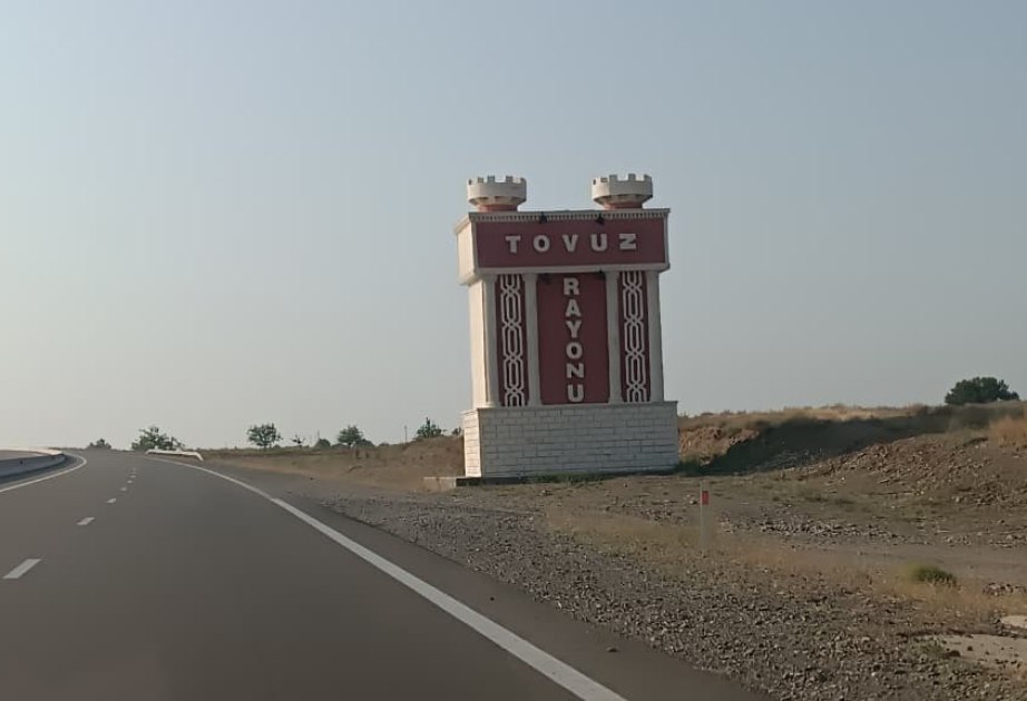 Tovuzda avtomobil mal-qaranı vuraraq aşdı - Xəsarət alanlar var