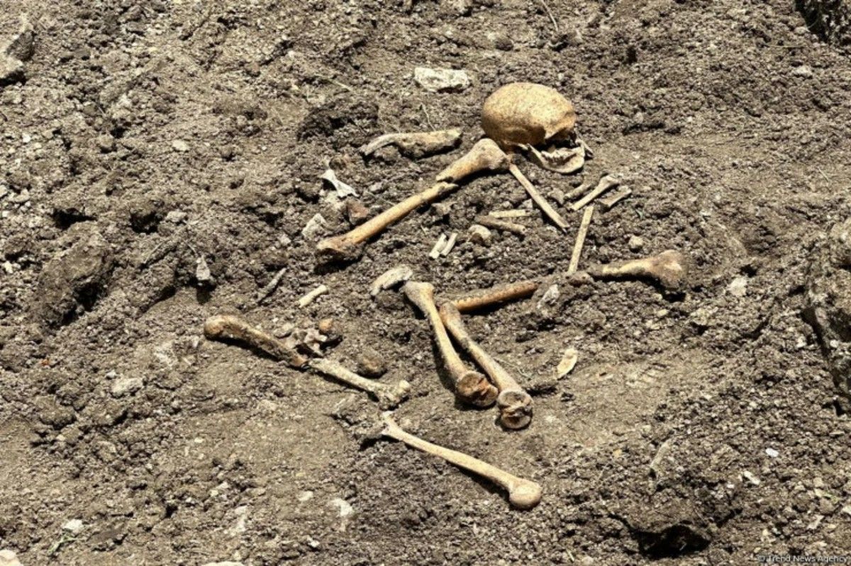 Ağdamda insan skeletinə bənzər qalıqlar TAPILDI
