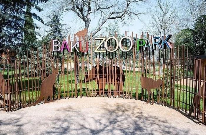 Bakı Zooparkı yeni quruma birləşdirilir Bakı Zooparkı yeni quruma birləşdirilir