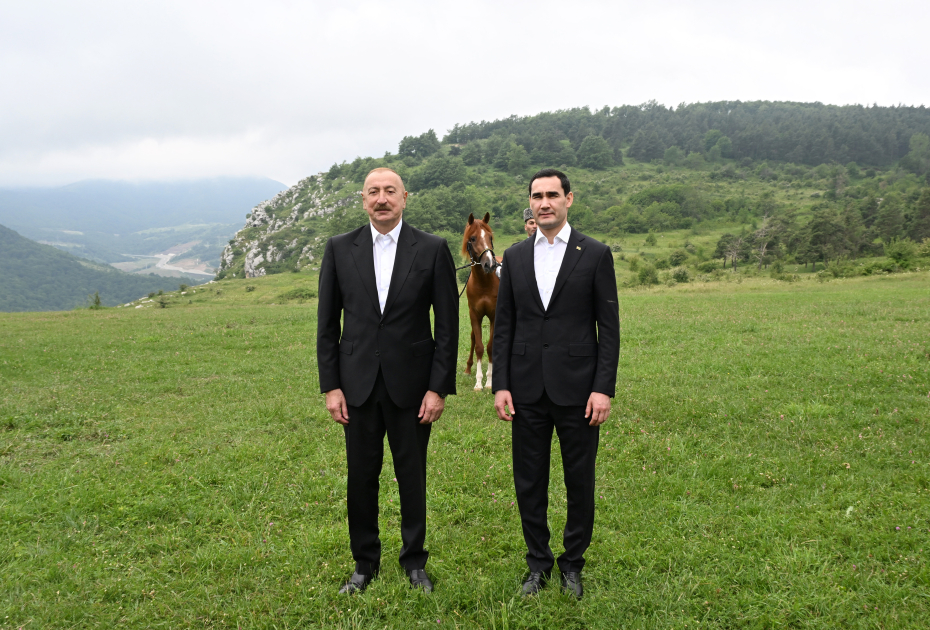 Türkmənistan Prezidentinə Qarabağ atı hədiyyə edildi - FOTO