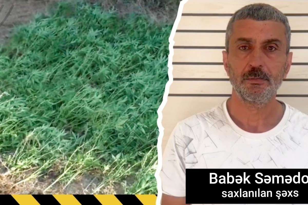 Çay kənarında çətənə kolları yetişdirən şəxs HƏBS EDİLDİ