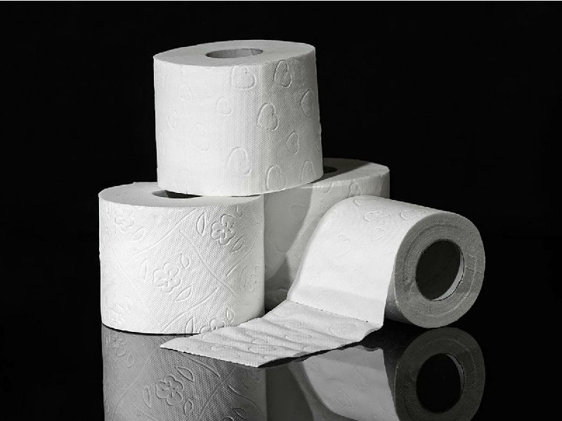 Tualet kağızı ilə ağcaqanadları evdən uzaqlaşdırın