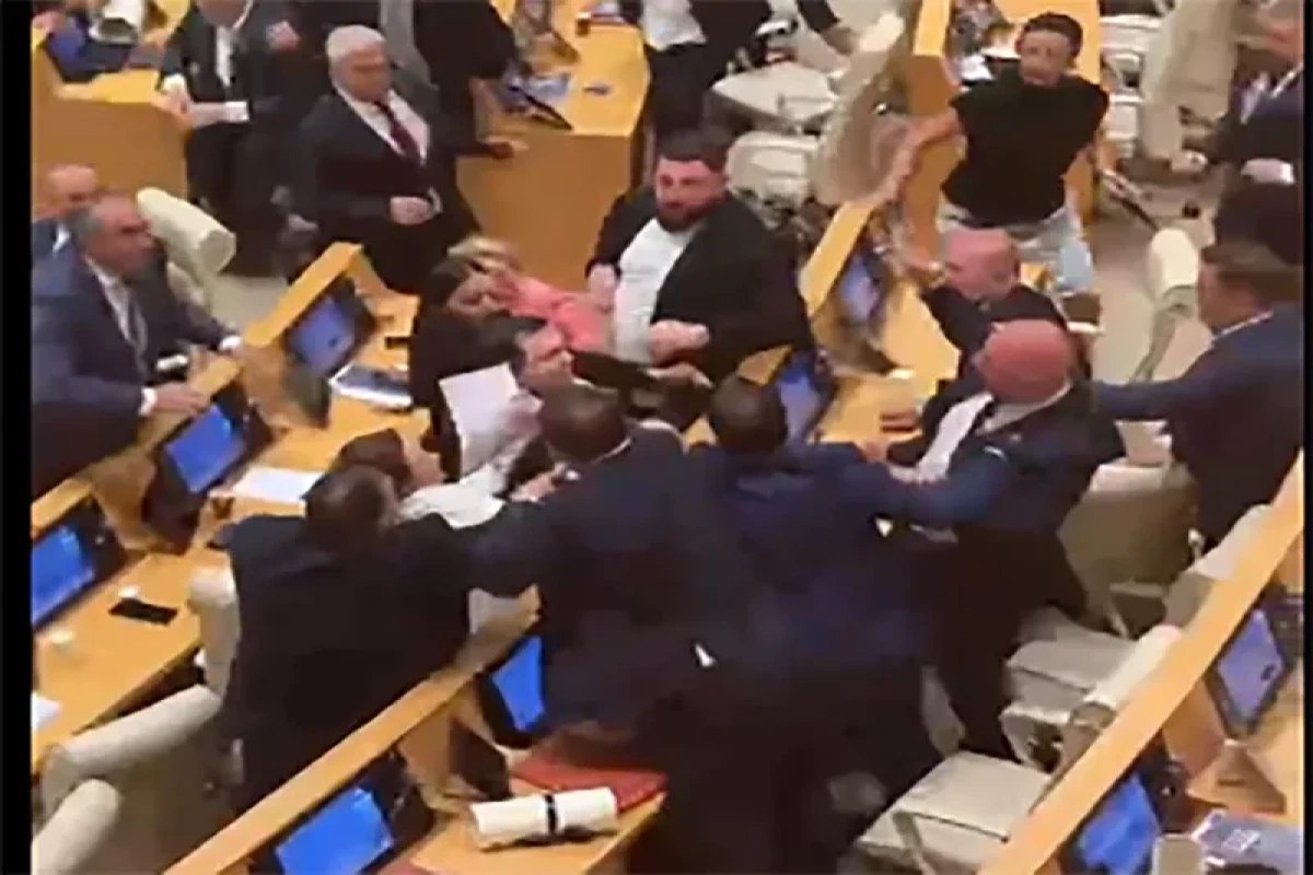 Gürcüstan parlamentinin iclasında DAVA: Deputatlar əlbəyaxa oldular - VİDEO