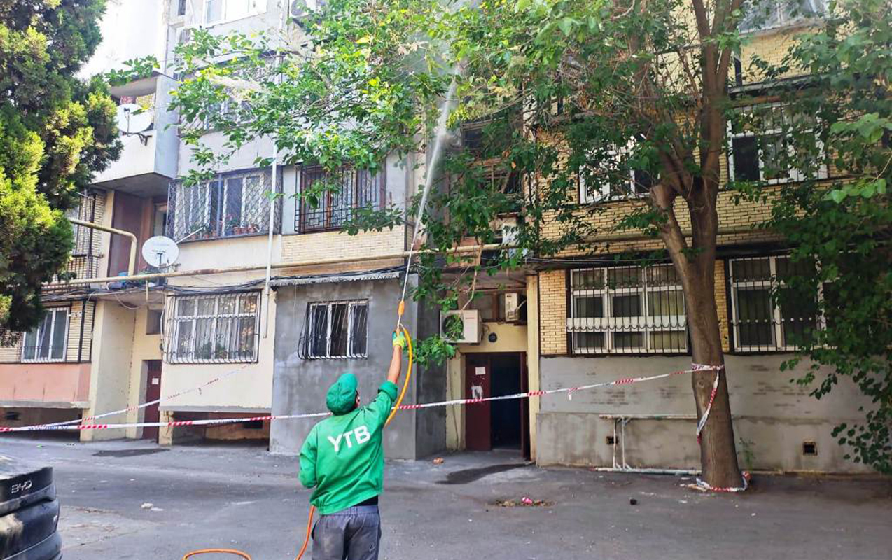 Bakıda ağaclarda dərmanlama işləri aparılır &ndash; FOTO