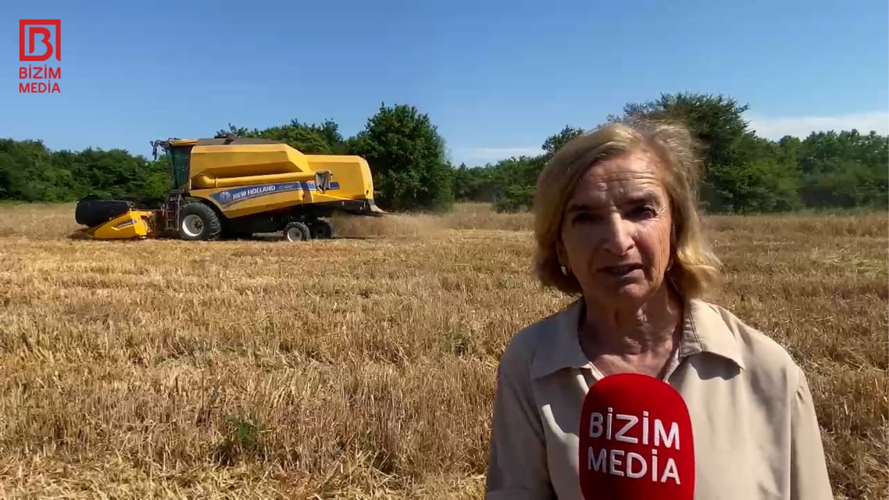 Əkin sahələri artsa da, məhsuldarlıq azalıb... &ndash; Xaçmazın taxıl zəmilərindən VİDEOREPORTAJ