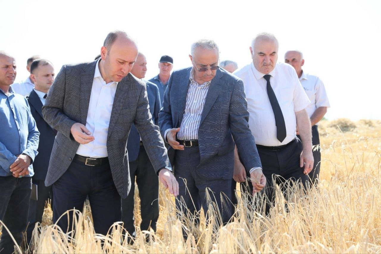 Qusarın icra başçısı taxıl biçini sahələrinə baxış keçirdi - FOTO Qusarın icra başçısı taxıl biçini sahələrinə baxış keçirdi - FOTO