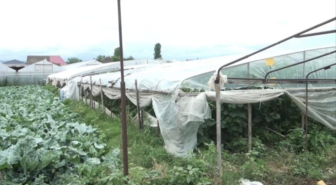 İldırım heyvanları vurdu, sel ev quşlarını apardı - FOTO/VİDEO