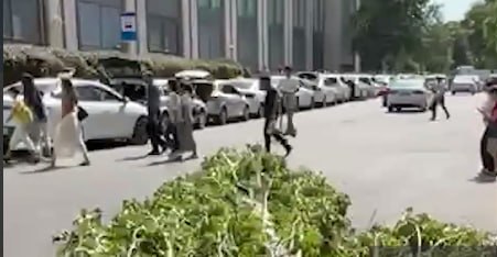 &ldquo;28 Mall&rdquo;ın yaxınlığında ağac aşdı &ndash; VİDEO