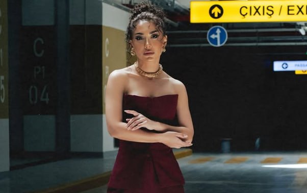 Mehinin ölkədən çıxışı qadağan edilib- Özü açıqladı - Video