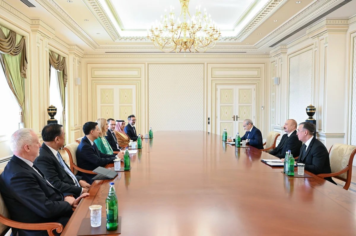 Prezident bir sıra beynəlxalq qurumların rəhbər şəxslərini qəbul etdi - FOTO