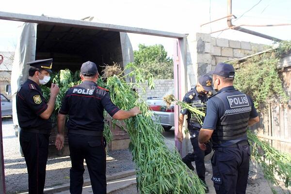 Bu ilin 6 ayında ölkədə 5 tondan çox narkotik AŞKARLANIB Bu ilin 6 ayında ölkədə 5 tondan çox narkotik AŞKARLANIB