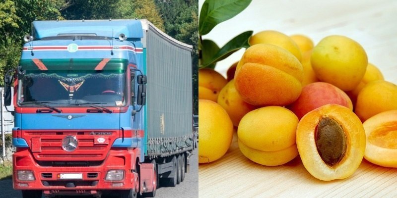 Ermənistandan İspaniyaya göndərilən əriklər yolda xarab oldu Ermənistandan İspaniyaya göndərilən əriklər yolda xarab oldu