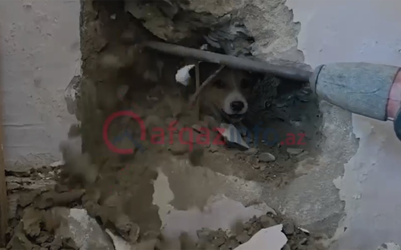 Sakinlər onun xilası üçün nazirliyə zəng etdilər– Video Sakinlər onun xilası üçün nazirliyə zəng etdilər– Video