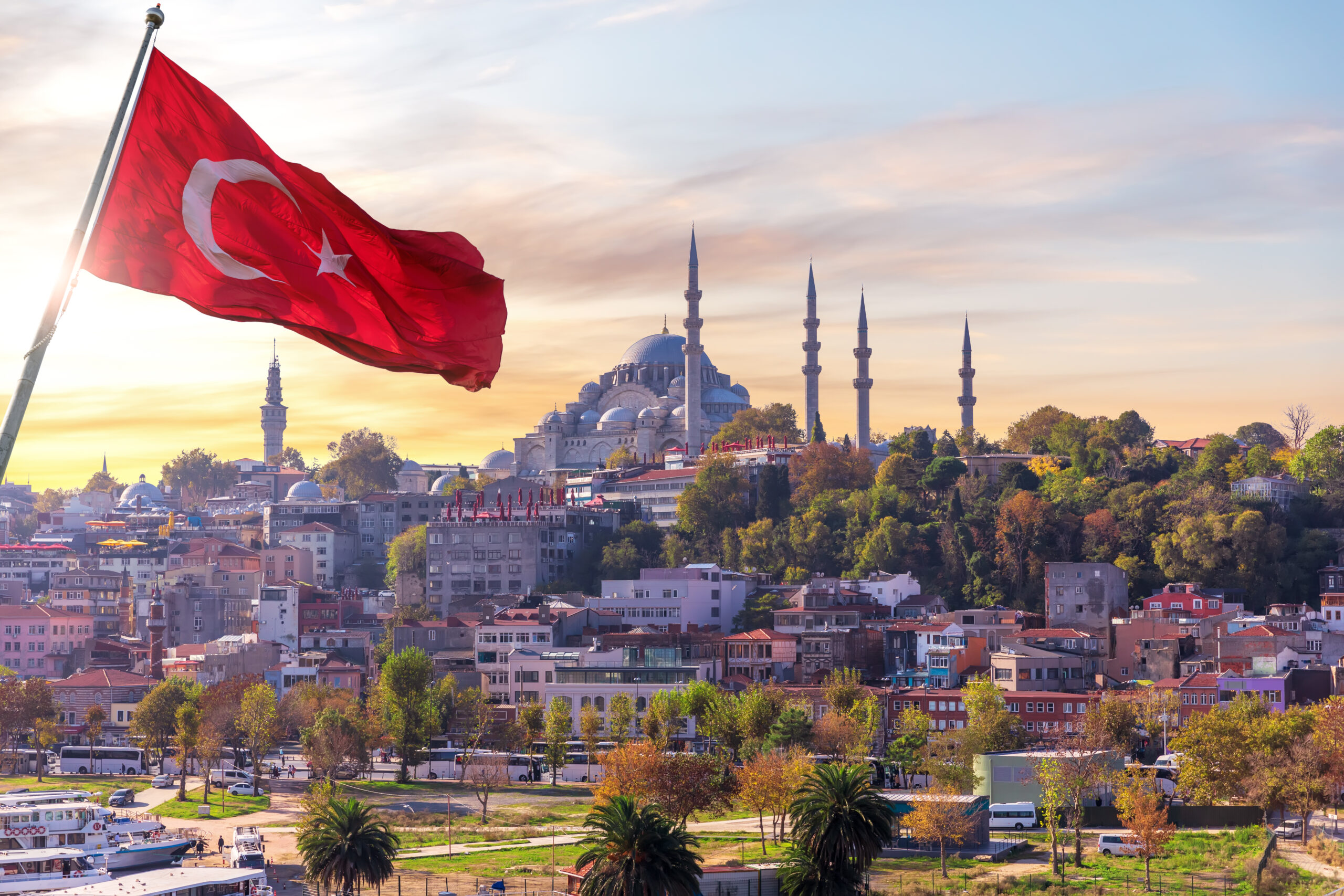 Türkiyədə görünən “qonaq” əhalini təşvişə saldı – Azərbaycana da gəlir? Türkiyədə görünən “qonaq” əhalini təşvişə saldı – Azərbaycana da gəlir?