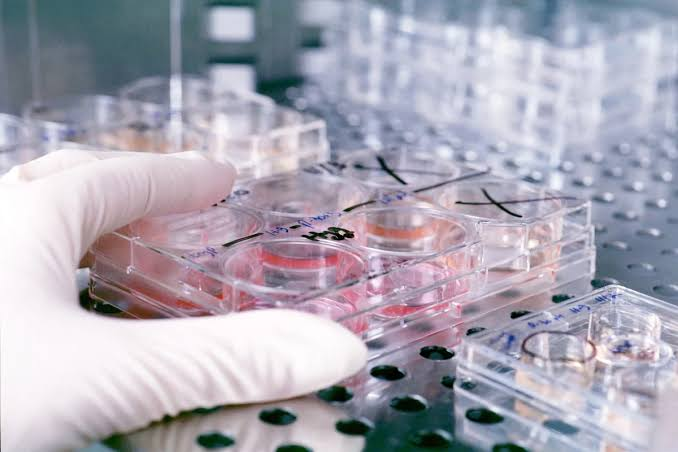 Azərbaycanda hepatitə yoluxanların sayı açıqlandı Azərbaycanda hepatitə yoluxanların sayı açıqlandı