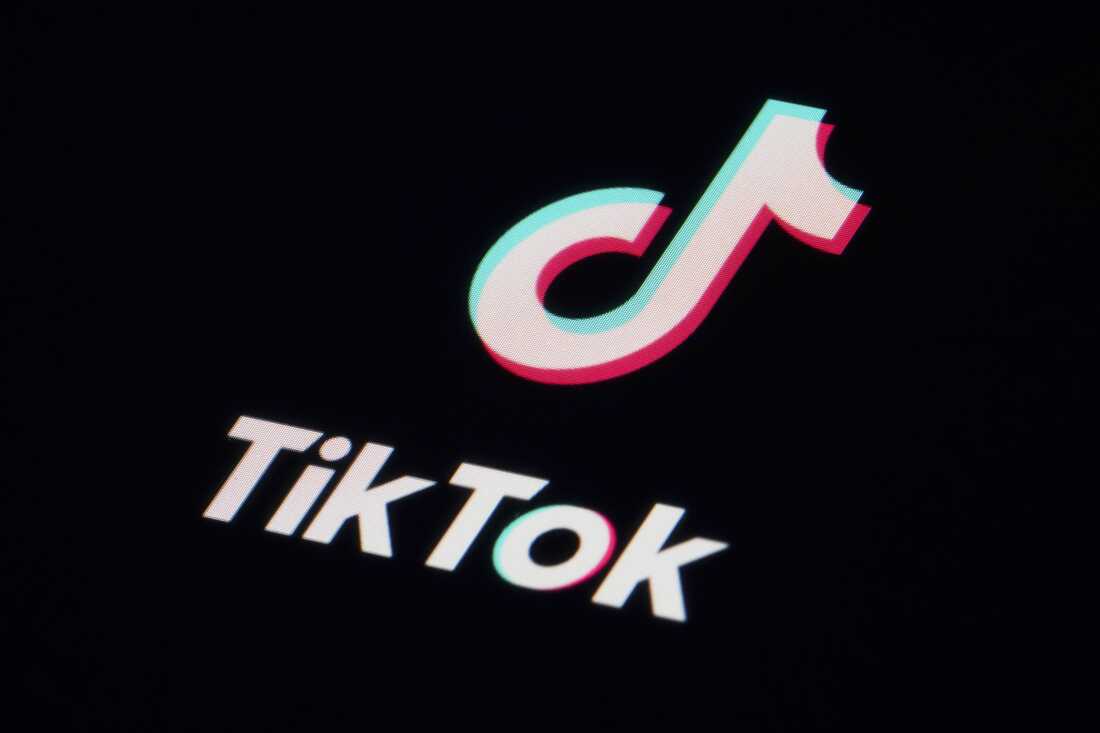 Naxçıvanda 4 "Tiktoker" söyüşə görə saxlanıldı