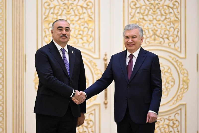 Rəşad Məmmədov etimadnaməsini Şavkat Mirziyoyevə təqdim etdi &ndash; FOTO