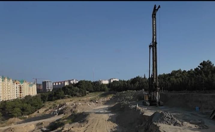 Şərurlu İsfəndiyarın şirkəti Sumqayıtda kütləvi ağac kəsimi QALMAQALINDA &ndash; VİDEO