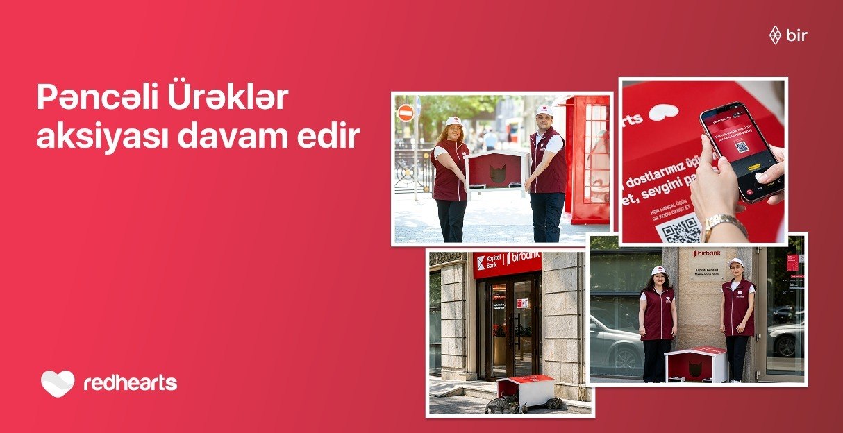 &ldquo;Pəncəli Ürəklər&rdquo; aksiyası çərçivəsində sahibsiz heyvanlar üçün yuvaların sayı 35-ə çatdı