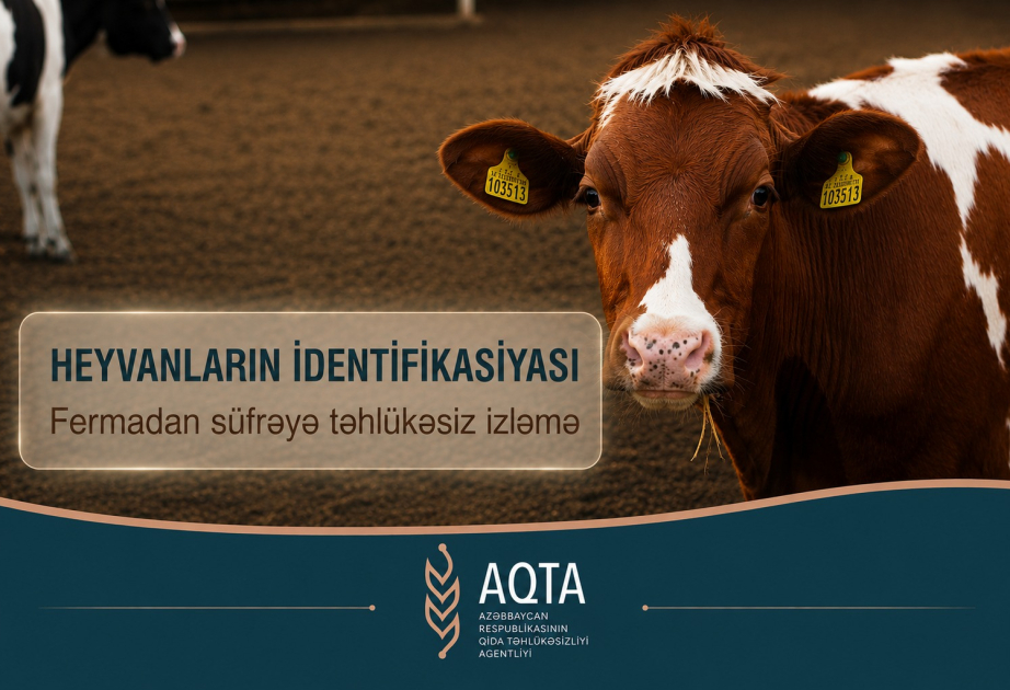 Heyvanların identifikasiyası: Fermadan süfrəyə təhlükəsiz izləmə