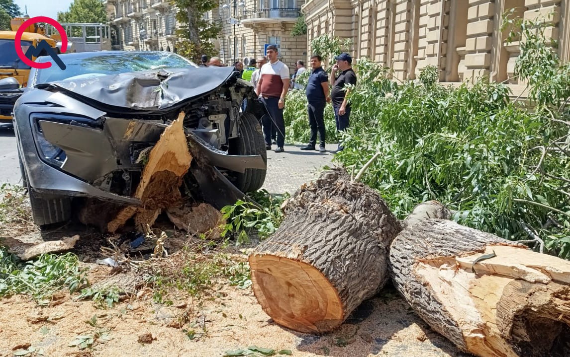 Bakının mərkəzində sükanı bloklanan maşın ağaca çırpıldı &ndash; FOTO