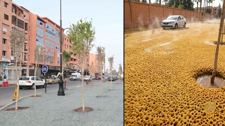 Bu yollara asfalt əvəzinə süngər döşənir