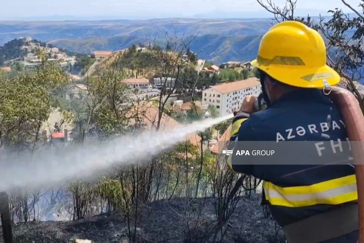Laçında yanğın: Alov yaşayış evlərinə çatmadan söndürüldü - FOTO Laçında yanğın: Alov yaşayış evlərinə çatmadan söndürüldü - FOTO