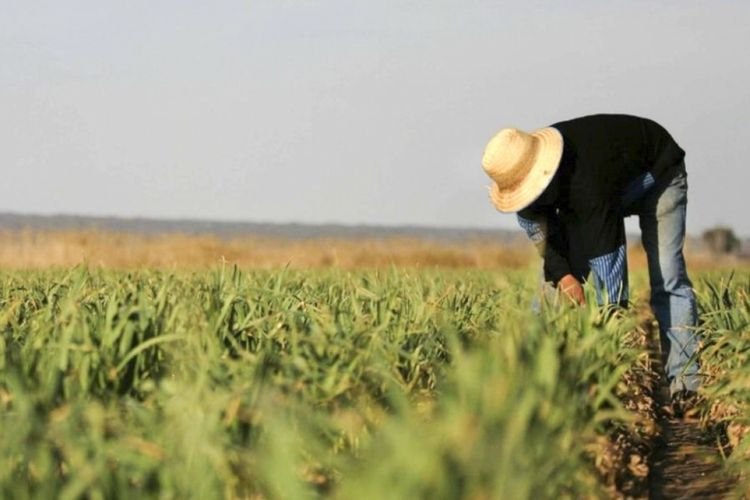 Fermerlərin DİQQƏTİNƏ &ndash; Subsidiyalarla bağlı RƏSMİ MƏLUMAT