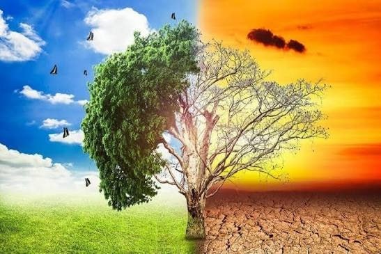 2027 iqlim kabusu ili olacaq? &ndash; Dünyanı rekord isti, güclü qasırğalar və ərzaq böhranı gözləyir