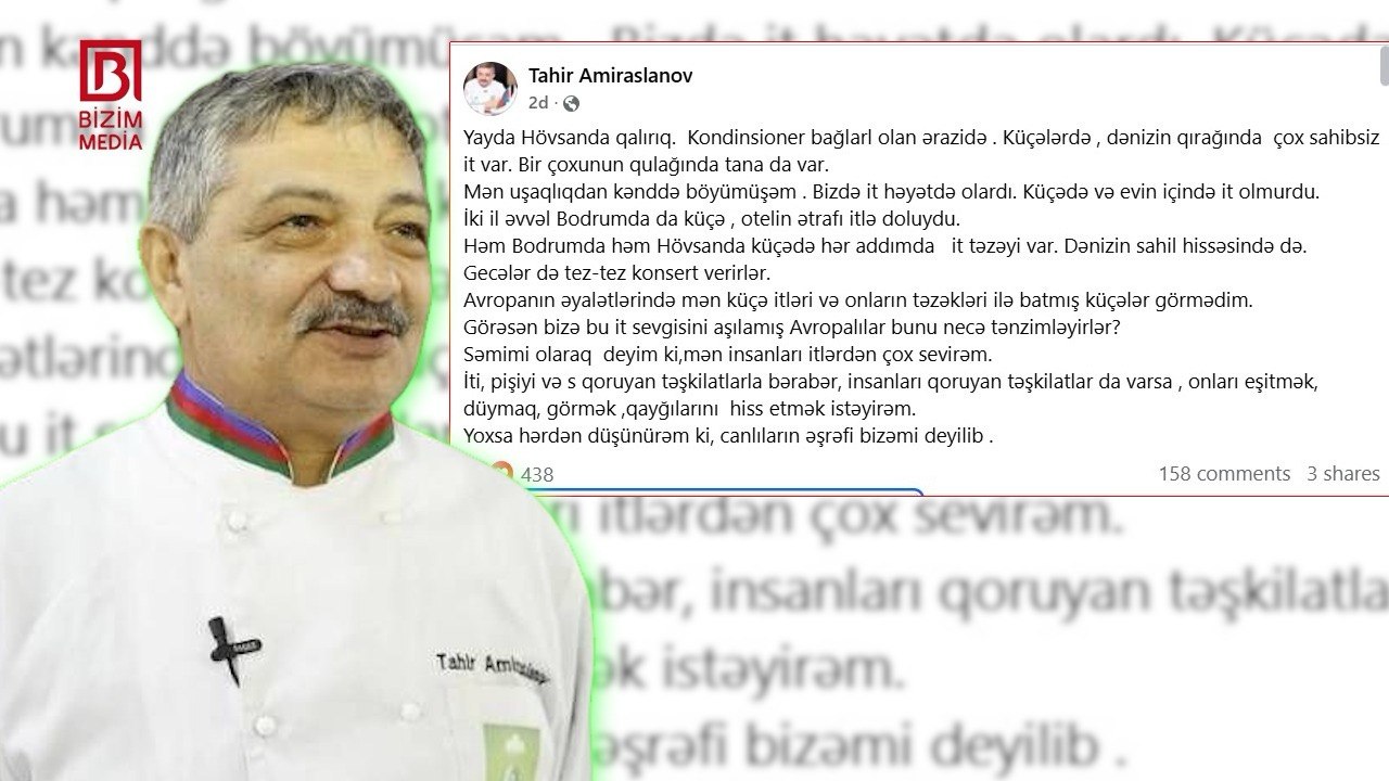 Tahir Əmiraslanovun sahibsiz itlərlə bağlı paylaşımı QALMAQAL yaratdı - FOTO