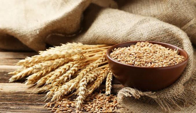 Buğda qiymətləri yüksəldi &ndash; Dünya narahatdır