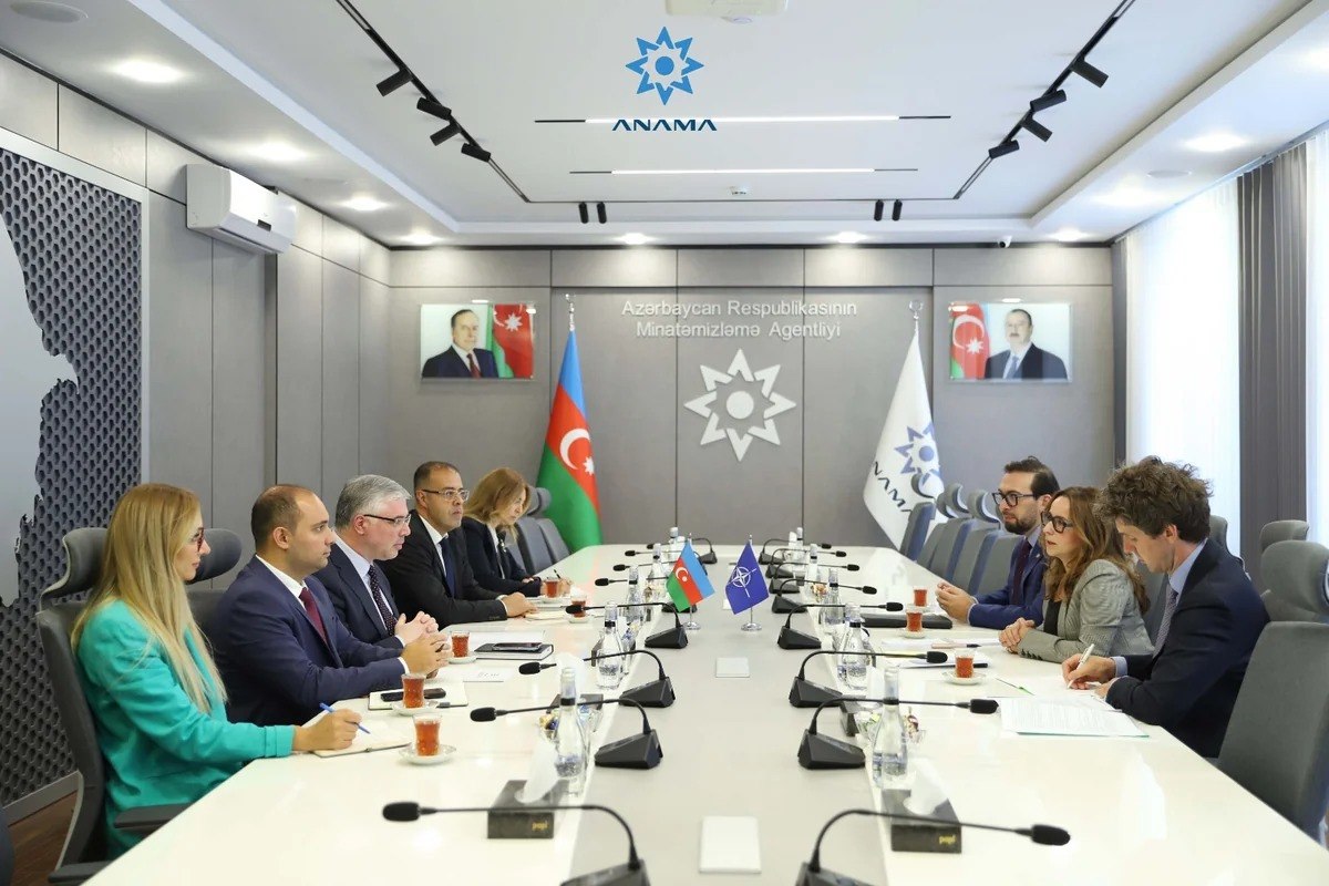 Azərbaycan ilə NATO arasında əməkdaşlıq müzakirə olundu