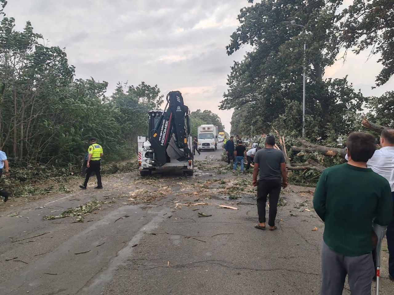 Cəlilabadda ağac avtomobilin üzərinə aşdı - FOTO/VİDEO