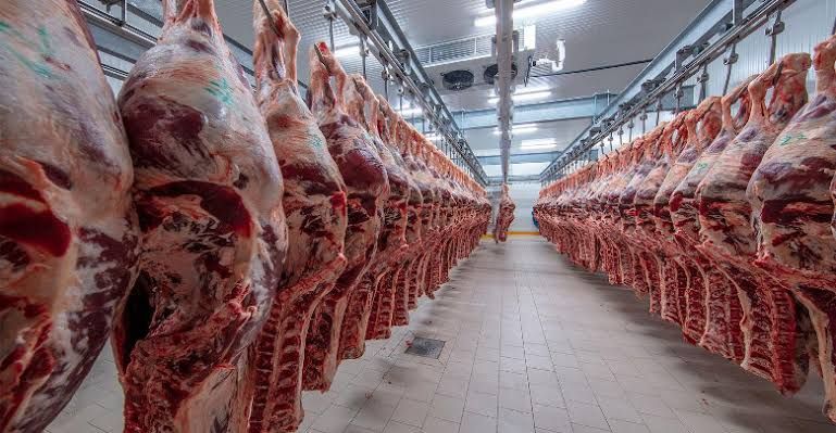 Dünyada mal əti istehsalı azalacaq &ndash; PROQNOZ