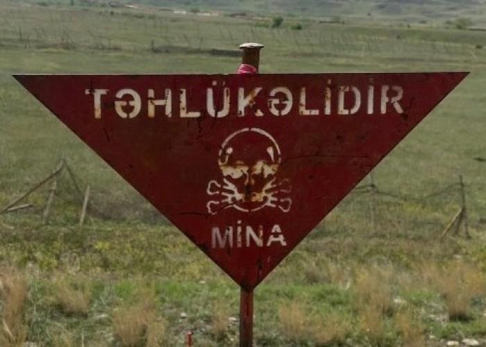 Vətən müharibəsindən sonra 438 nəfər mina qurbanı olub - Vüqar Süleymanov