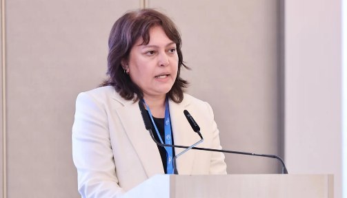 Umayra Tağıyeva: Azərbaycan iqlim riskləri ilə üzləşir