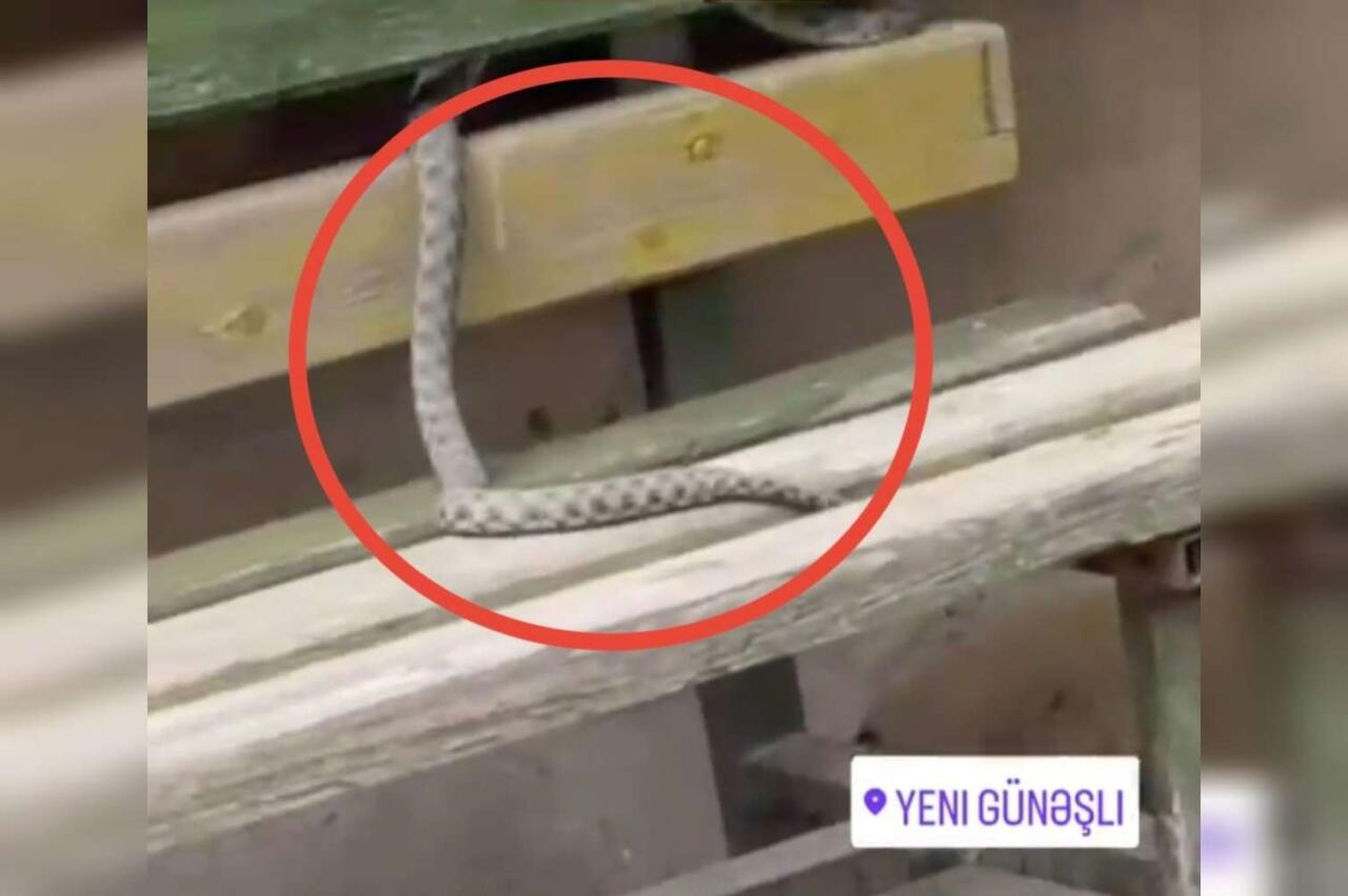 Yeni Günəşlidə ilan göründü &ndash; VİDEO