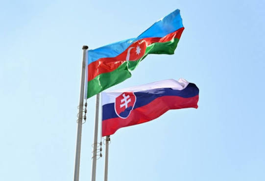 Azərbaycan və Slovakiya arasında məxfi məlumatlar MÜBADİLƏ EDİLƏCƏK