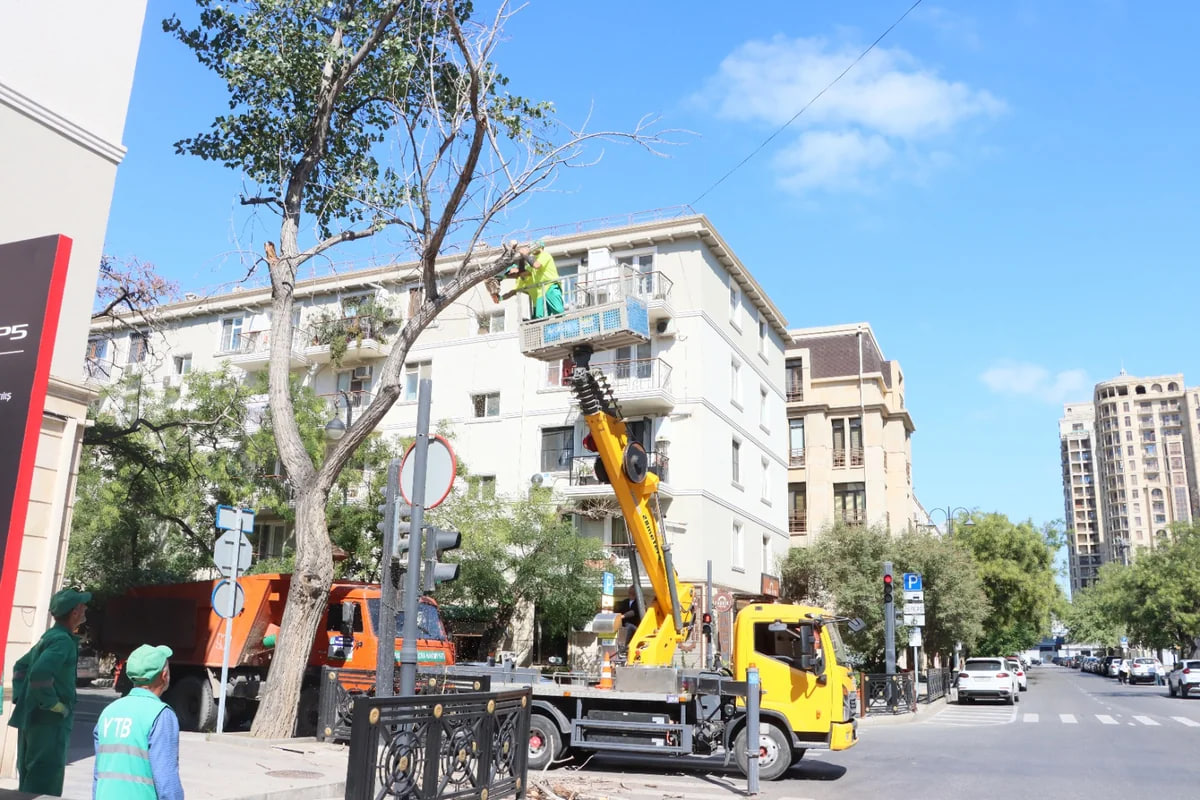 Bakıda güclü küləklə bağlı qabaqlayıcı tədbirlər görülür &ndash; FOTO