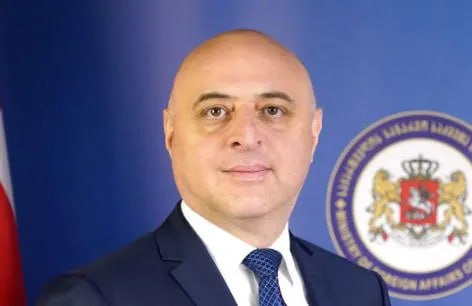 Gürcüstan Azərbaycana yeni səfir təyin etdi