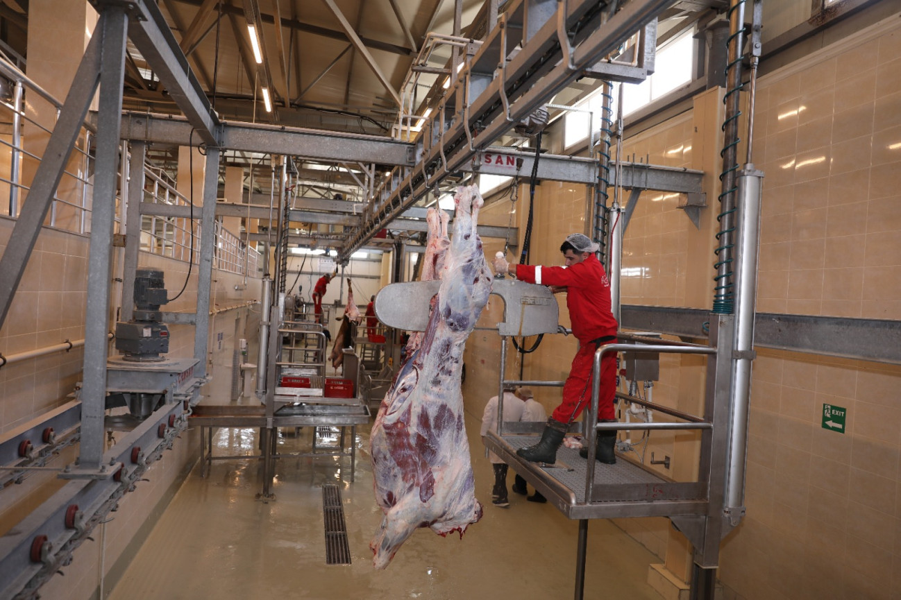 AQTA: 33 rayon və şəhərdə müasir heyvan kəsimi məntəqələri qurulmalıdır &ndash; FOTO/VİDEO