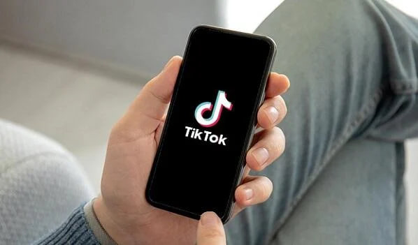 &ldquo;TikTok&rdquo;da saxta elanlar yerləşdirən şəxs saxlanıldı &ndash; FOTO