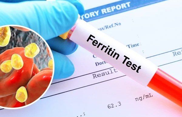 Əksəriyyətin ferritin haqqında bilmədiyi VACİB MƏLUMAT