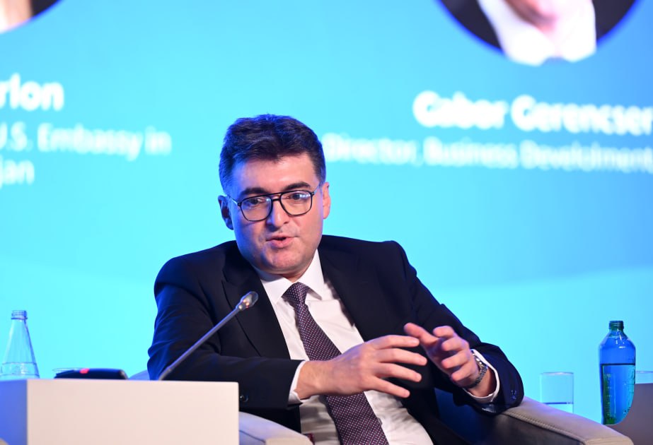 Nazir müavini: &ldquo;Son dövrlərdəki böhranlar Orta Dəhlizin əhəmiyyətini daha da artırıb&rdquo;