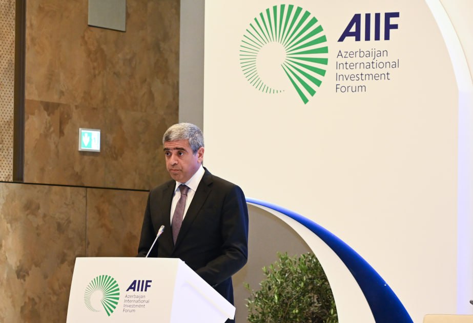 Anar Əliyev: &ldquo;Azərbaycanda elektron sosial sistemlər 80-dək qurumun informasiya bazaları ilə inteqrasiya olunur&rdquo;