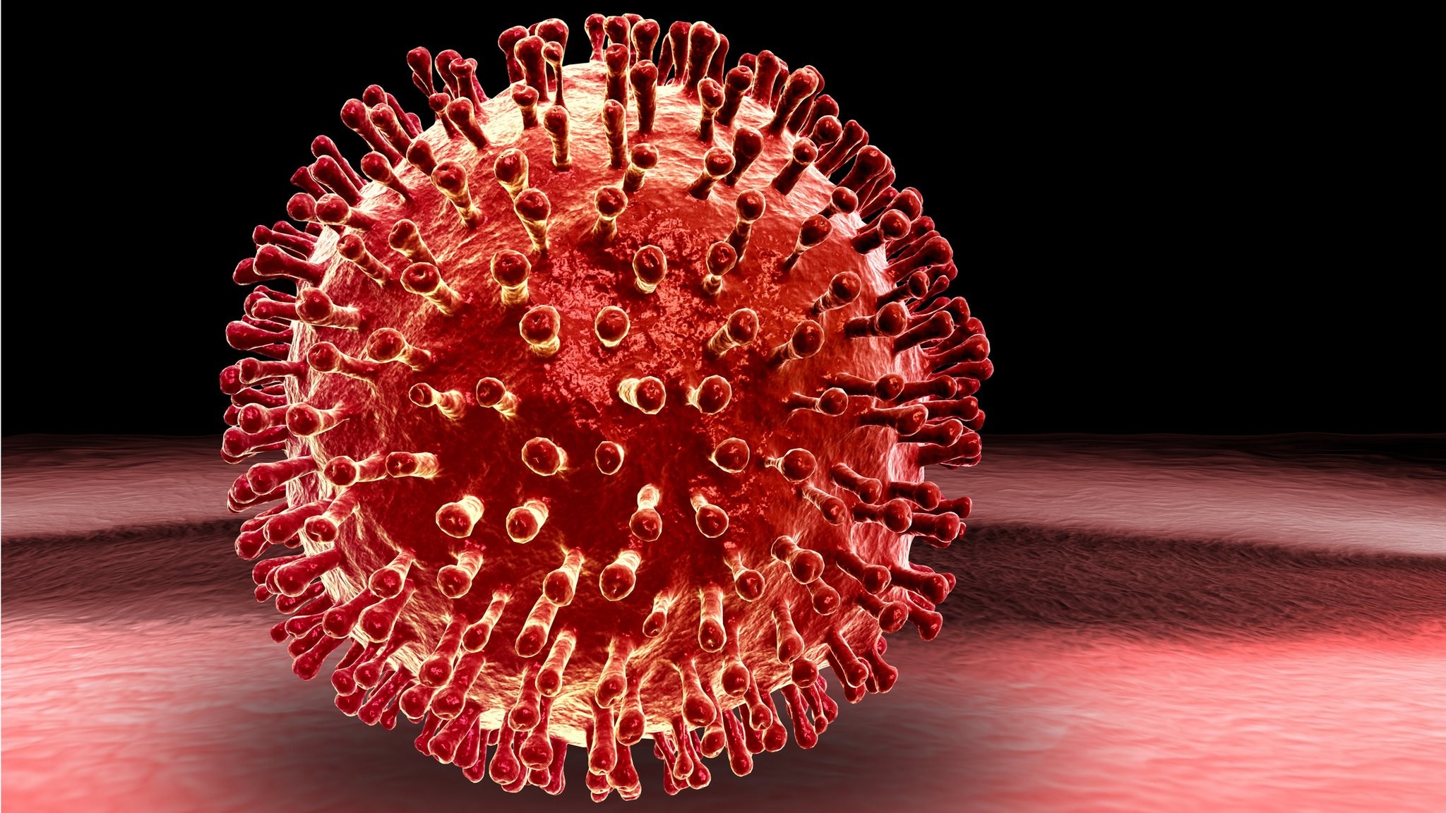 Ukraynada virus həyəcanı: Sürətlə naməlum infeksiya yayılır