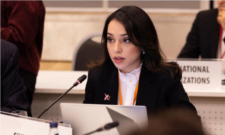 Nəzrin Əliyeva: &ldquo;İtkin düşmüş şəxslərin taleyinin naməlum qalması ağır humanitar faciədir&rdquo; &ndash; VİDEO