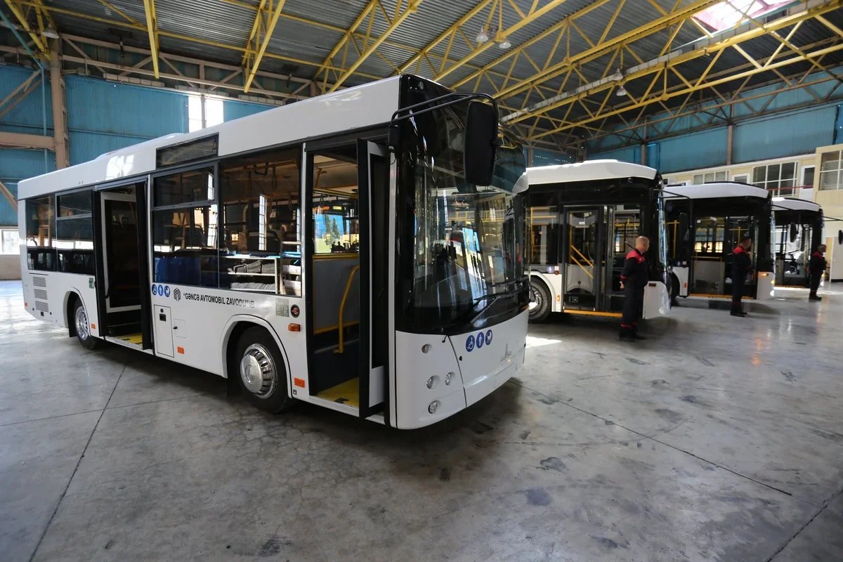 Azərbaycanda avtobus istehsalı son 5 ildə 240 dəfəyə yaxın artıb