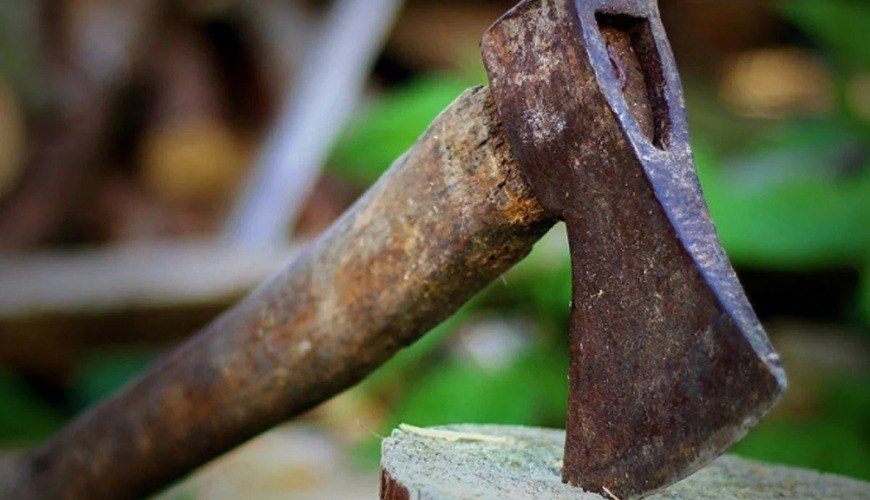 Araq almağa pul verməyən arvadını baltanın sapı ilə döydü