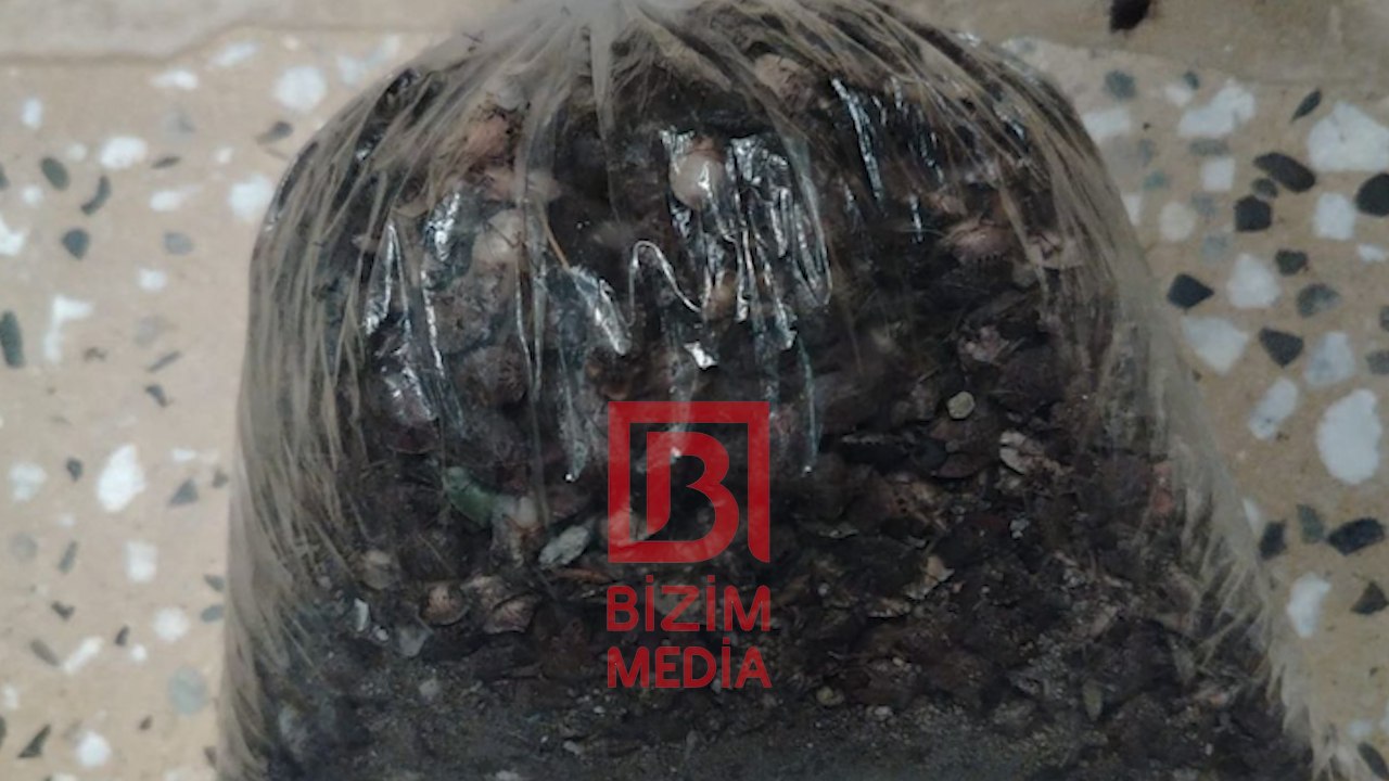 Dağıstanın Azərbaycanla həmsərhəd 5 rayonunda karantin elan edildi – FOTO Dağıstanın Azərbaycanla həmsərhəd 5 rayonunda karantin elan edildi – FOTO